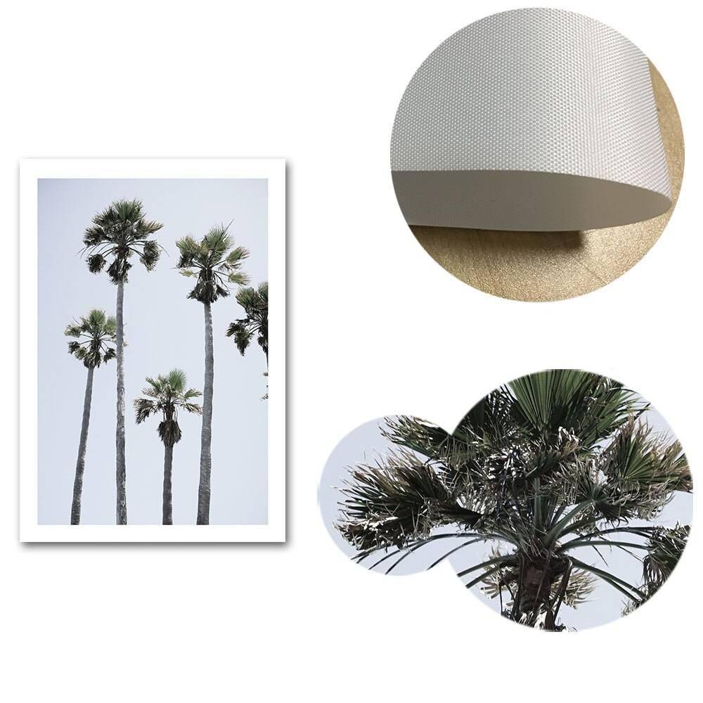 Plakat z palmami i morzem - Palm Tree